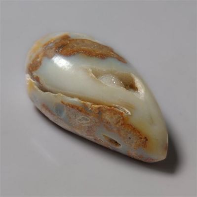 Rare Snail Shell Druzy