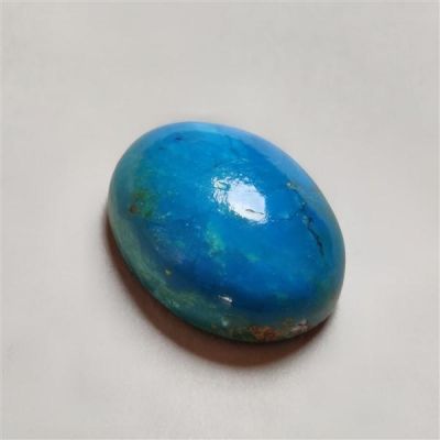 Peruvian Blue Opalina