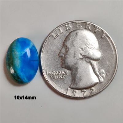 Peruvian Blue Opalina