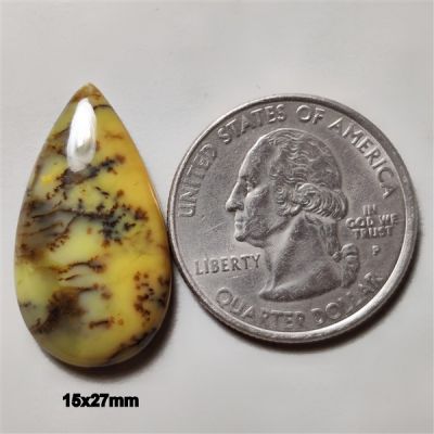 Australian Dendritic Opal