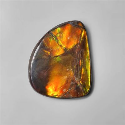 Large Ammolite