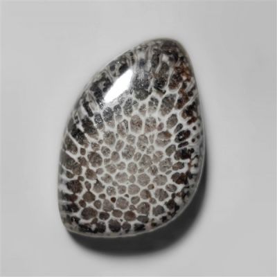 black-fossil-coral-cabochon-n10428