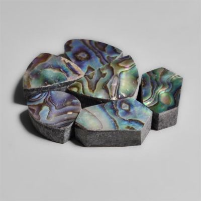 abalone-shells-lot-(backed)-n11938