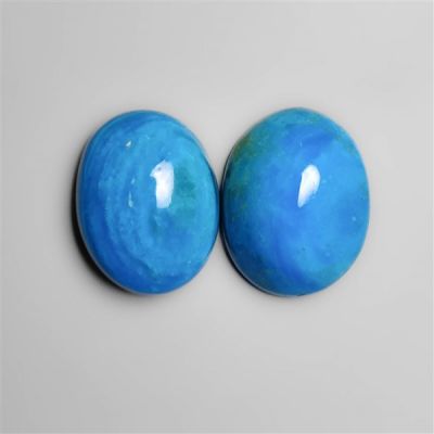 Peruvian Blue Opalina Pair