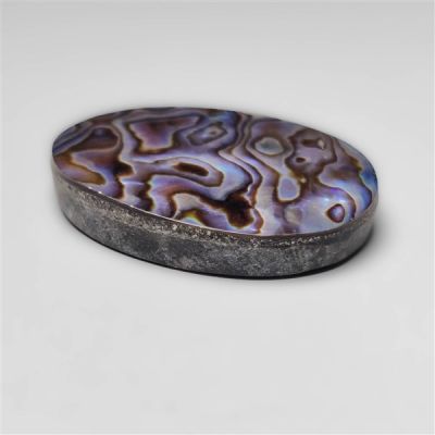 abalone-shell-n13715