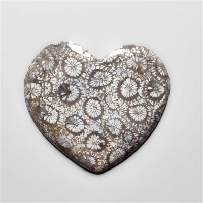 Fossil Coral Heart Carving