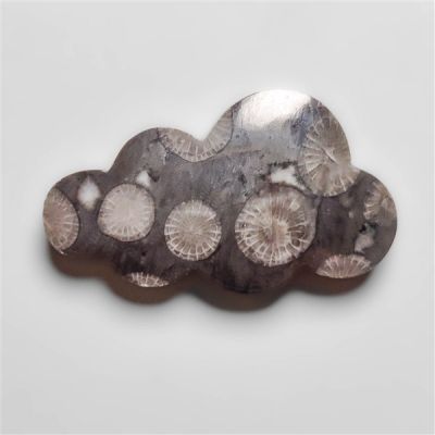 Black Fossil Coral Cloud Carving