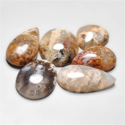 Plume Agate Cabochons Lot