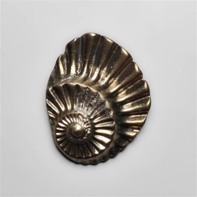 rare-pyritized-ammonite-fossil-negative-n16605
