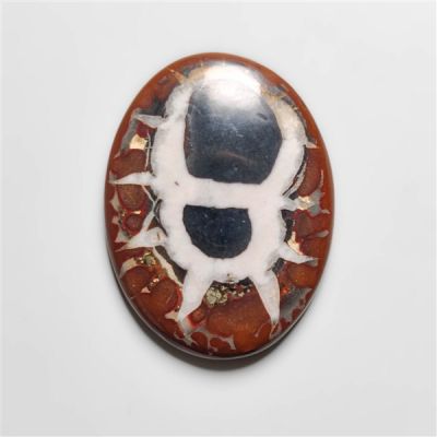 Black Septarian Fossil Cabochon