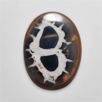 Black Septarian Fossil Cabochon