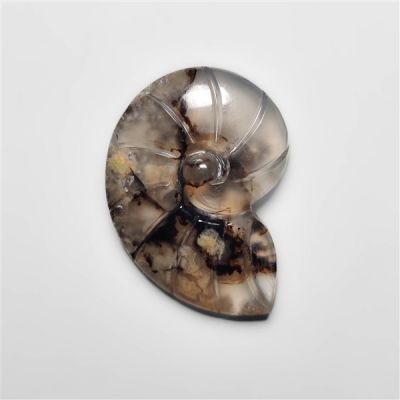 montana-agate-ammonite-carving-n17849