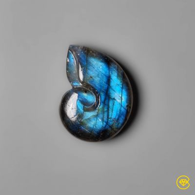 Blue Labradorite Ammonite Carving