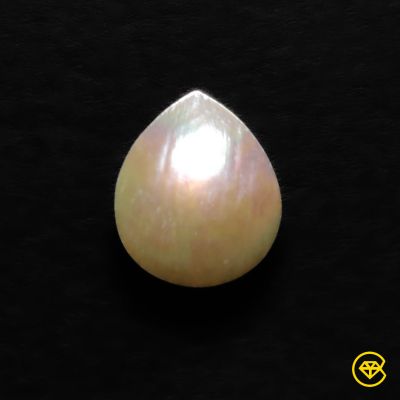 Large Freshwater Pearl