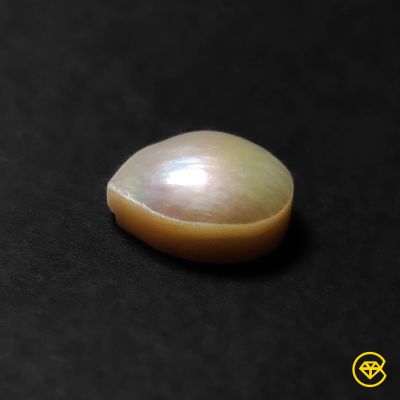 Large Freshwater Pearl