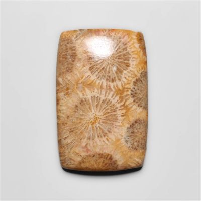 Fossil Coral Cabochon-N20316