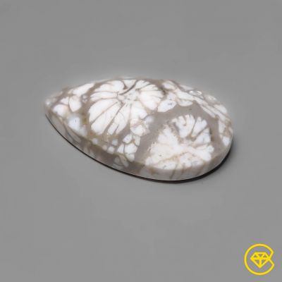 Rose Cut Fossil Coral