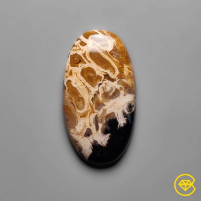 Indonesian Palmroot Agate