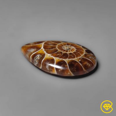 Ammonite Cabochon