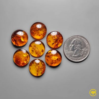 15X15 mm Baltic Amber Calibrated Cabochon Lot