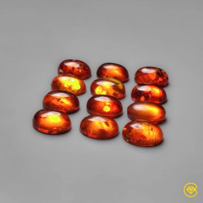 8X6 mm Baltic Amber Calibrated Cabochon Lot