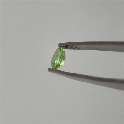 faceted-green-kyanite-n2721