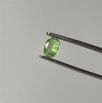 faceted-green-kyanite-n2724