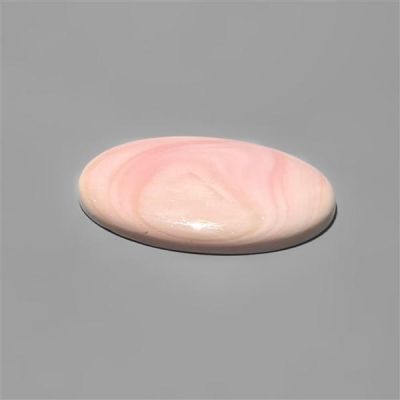 Pink Conch Shell