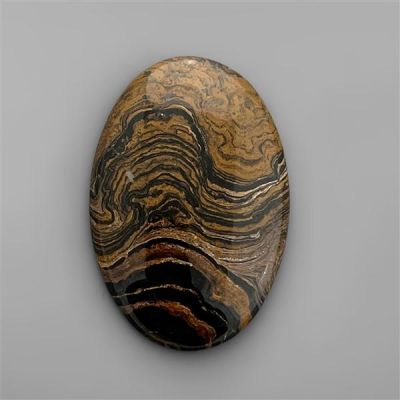 Brown Stromatolite Cabochon