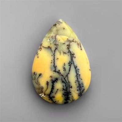 australian-yellow-dendritic-agate-n2957