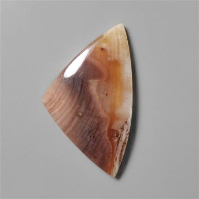 arizona-petrified-wood-n5299