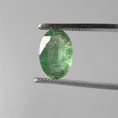 faceted-green-kyanite-n5746