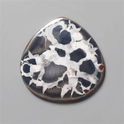 Large Black Septarian Fossil Cabochon