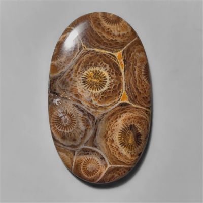 moroccan-fossil-coral-n9815