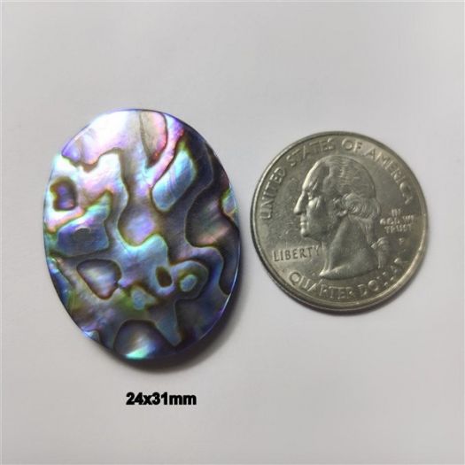 Paua/Abalone Shell