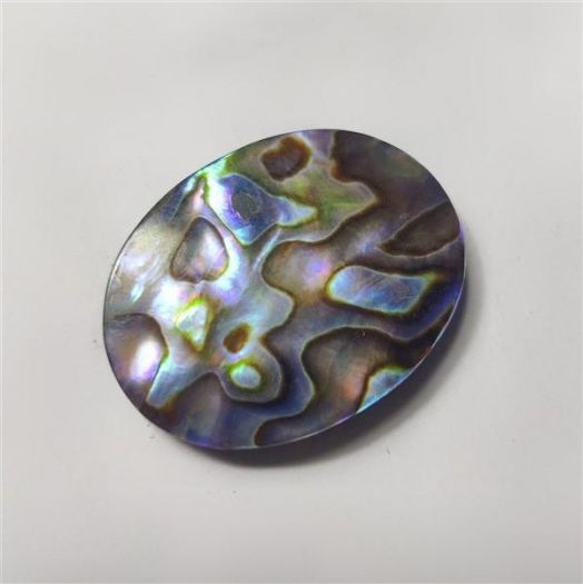 Paua/Abalone Shell