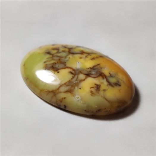 Australian Dendritic Opal