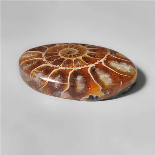 ammonite-fossil-cabochon-n10269