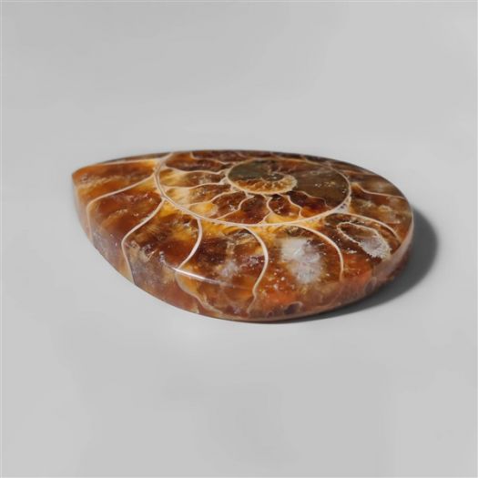 ammonite-fossil-cabochon-n10270