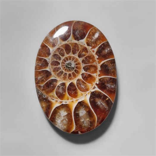 ammonite-fossil-cabochon-n10271