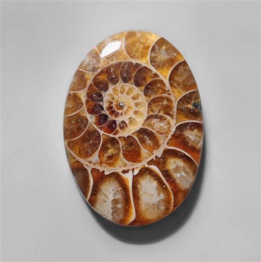 ammonite-fossil-cabochon-n10272