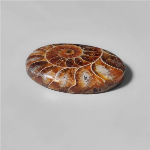 ammonite-fossil-cabochon-n10273