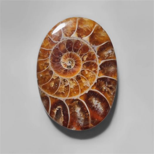 ammonite-fossil-cabochon-n10274