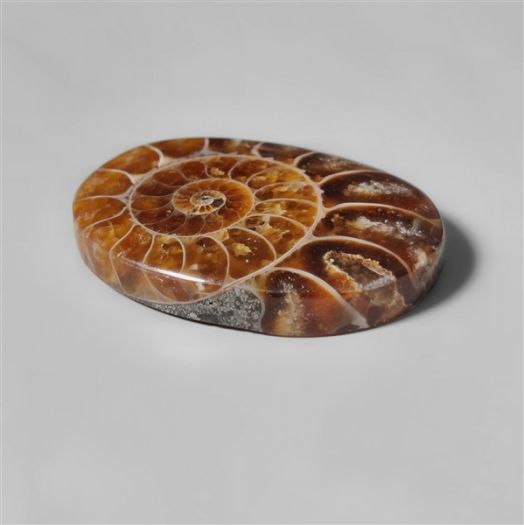 ammonite-fossil-cabochon-n10274