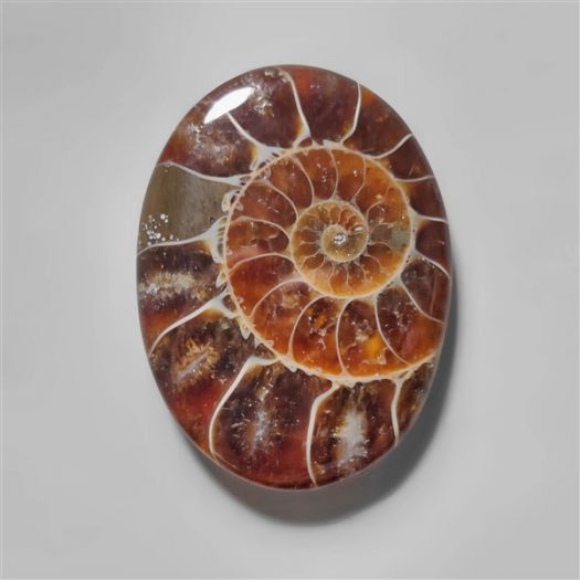 ammonite-fossil-cabochon-n10275