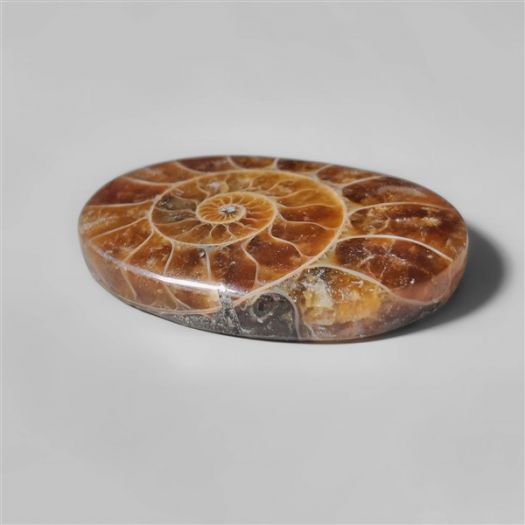 ammonite-fossil-cabochon-n10276