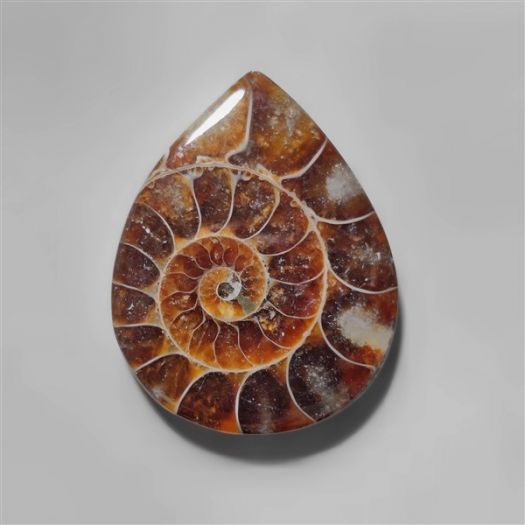 ammonite-fossil-cabochon-n10277