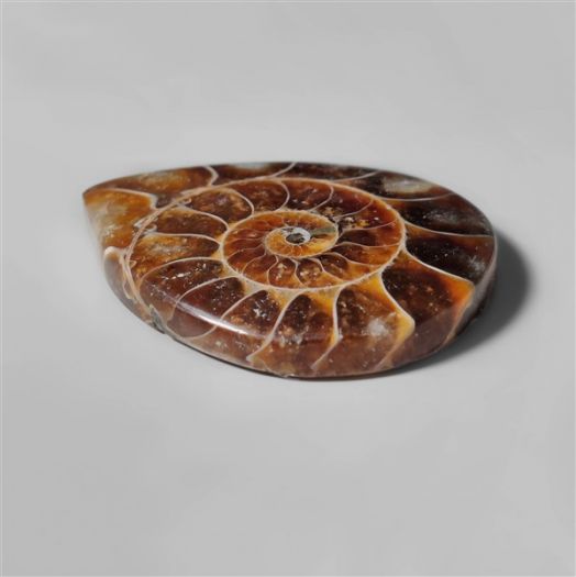 ammonite-fossil-cabochon-n10277