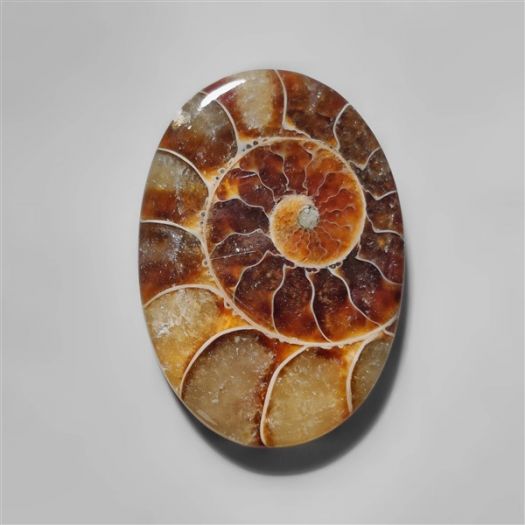 ammonite-fossil-cabochon-n10278