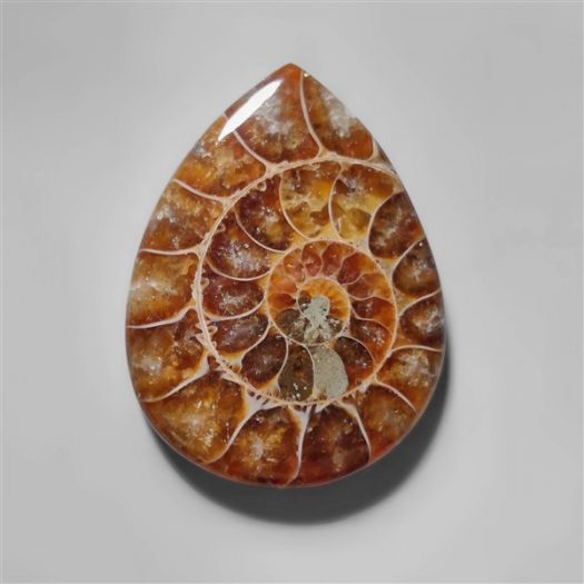 ammonite-fossil-cabochon-n10280